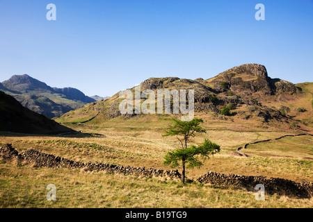 Die "Langdale Pikes" sehen In der Ferne als angesehen von Blea Tarn, der "Lake District" Cumbria England UK Stockfoto