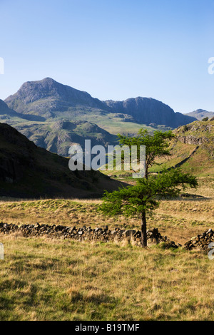 Die "Langdale Pikes" sehen In der Ferne als angesehen von Blea Tarn, der "Lake District" Cumbria England UK Stockfoto