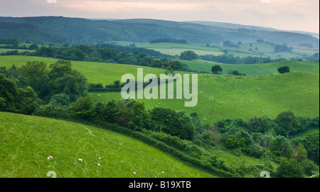 Üppigen grünen Ackerland in Exmoor Nationalpark Somerset England Stockfoto