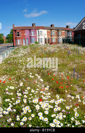 Gehäuse in Donaldson Straße im Breckfield Bezirk von Liverpool mit Brettern vernagelt bereit für eine Sanierung. Stockfoto