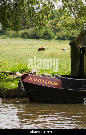 Bogen des schmalen Boot am Fluss Wey in Guildford, Surrey Stockfoto