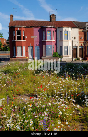 Gehäuse in Donaldson Straße im Breckfield Bezirk von Liverpool mit Brettern vernagelt bereit für eine Sanierung. Stockfoto