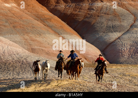 Pferde bringen eine andere Weide, Wyoming Cowboys Stockfoto