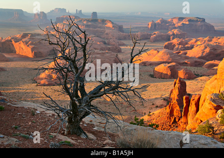 Toter Baum auf Hunts Mesa in Monument Valley in Arizona Stockfoto