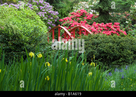 Seattles Kubota Garten. Stockfoto