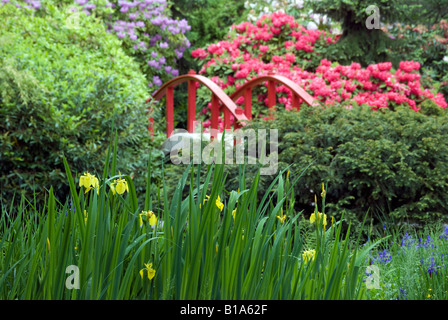 Seattles Kubota Garten. Stockfoto