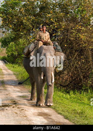 zwei Ranger auf Patrouille an Bord eines Elefanten im Kaziranga Nationalpark in Assam Indien Stockfoto