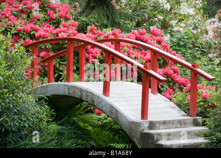 Der Mond-Brücke in Seattles Kubota Garten. Stockfoto