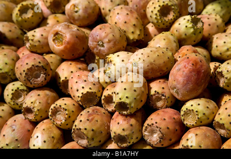 Pieksigen Birne Kaktus Früchte Stockfoto