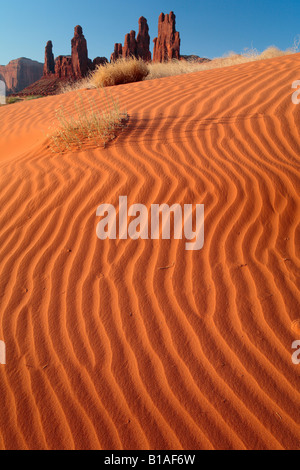 Sanddünen in der Nähe von Yei-Bi-Chai-Felsen (Totempfählen) im Monument Valley, Arizona Stockfoto