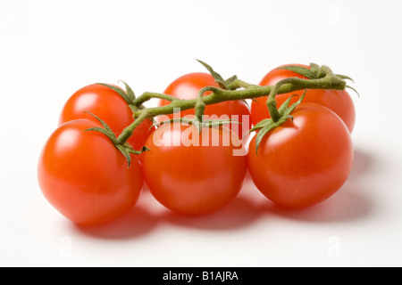 Cherry-Tomaten am Rebstock Stockfoto