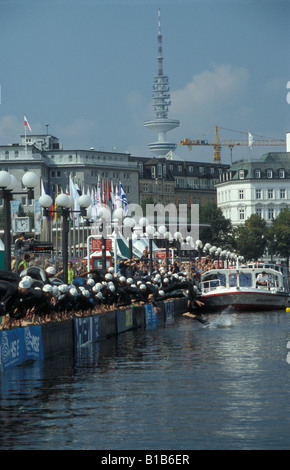 Die jährliche Triathlon, Schwimmer starten am Jungfernstieg in der Innenstadt von Hamburg, Deutschland Stockfoto