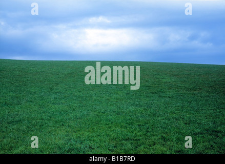 Landschaft mit üppig grünen Wiese mit blauem Himmel Stockfoto