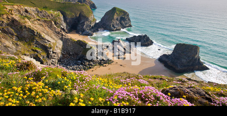 Wildblumenwiese auf die rührende mit Blick auf Bedruthan Schritte North Cornwall England Stockfoto