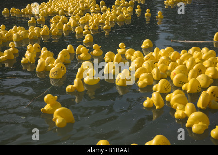 Hunderte von gelben Plastikenten Stockfoto