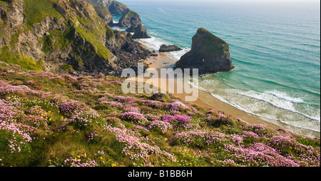 Wildblumenwiese auf die rührende mit Blick auf Bedruthan Schritte North Cornwall England Stockfoto