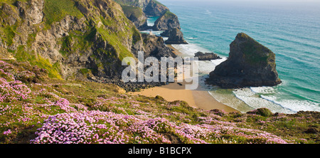 Wildblumenwiese auf die rührende mit Blick auf einem einsamen Strand am Bedruthan Schritte North Cornwall England Stockfoto