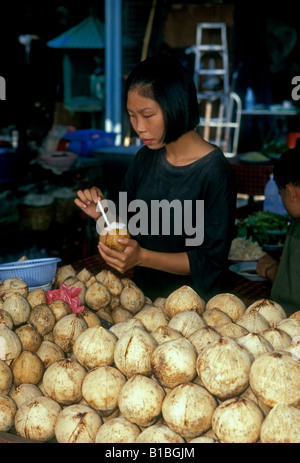 Thai-Frau, Erwachsene Frau, Kokos-Anbieter, Verkauf von Kokosnüssen, Wochenendmarkt Chatuchak, Bangkok, Provinz Bangkok, Thailand, Südostasien, Asien Stockfoto