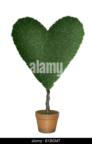 Formschnitt Baum in Form von Herzen Ausschneiden auf weißem Hintergrund Stockfoto
