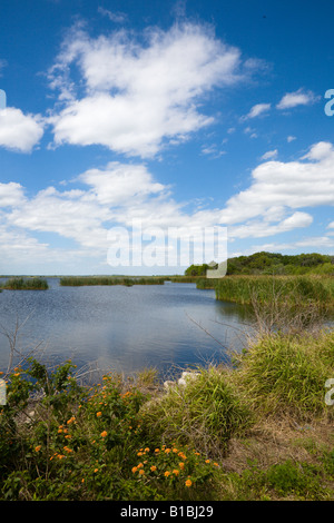 Landschaft der Feuchtgebiete Sumpf bei Emeralda Marsh in Zentral-Florida-USA Stockfoto