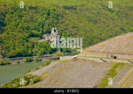 Assmannshausen Höllenberg Weinberg und Burg Rheinstein im mittleren Rheintal, Deutschland. Stockfoto