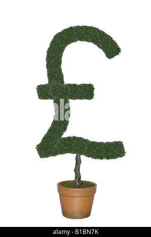 Formschnitt Baum in Form des britischen Pfunds Währungssymbol ausgeschnitten auf weißem Hintergrund Stockfoto