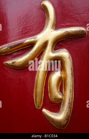 Chinesische Kalligraphie, Stadt-Tempel, Shanghai, China Stockfoto