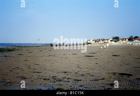 Strand von Duver Straße, Blick aufs Meer, Isle Of Wight Stockfoto