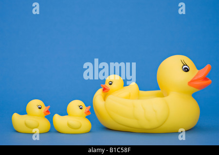 Eine niedliche kleine Familie von gelben Gummienten mit einfarbiigem blauem Hintergrund Stockfoto