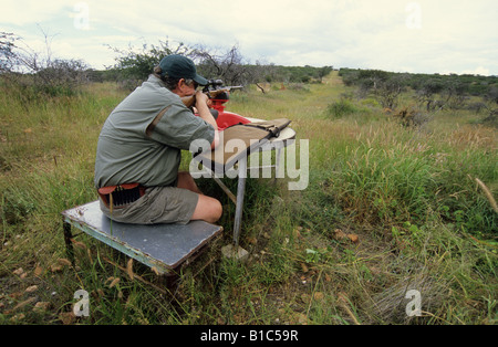 Menschen, Okahanja, Namibia, Safari, Single adult man sitzend, Jäger mit Zielgewehr, um Teleskop zu überprüfen, Jagd auf afrikanische Wild, Trophäe Tiere, Jagd, Pistole Stockfoto