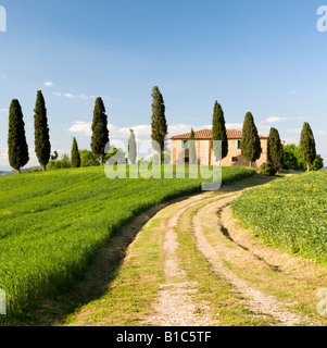 Bauernhaus und Zypresse Bäume, Valle de Orcia, Toskana, Italien Stockfoto