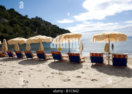 Sonnenschirme und Liegestühle am Strand von Fetovaia, eines der weißesten Strände auf der Insel Elba (Isola Elba) aufgereiht Stockfoto