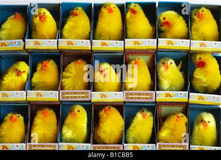 Jetzt wissen wir, wie sich Hühner mit Batteriehaltung anfühlen - Hühner, Hühner, überfüllte, enge Bedingungen, Farmen, Käfige, Konzept Stockfoto