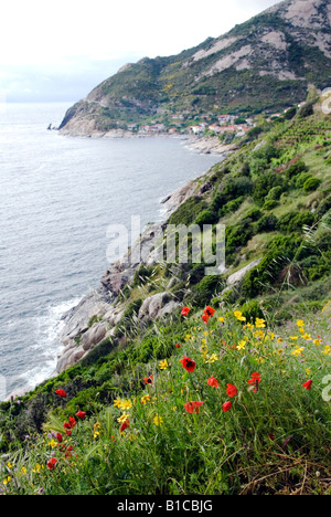 Zerklüftete Küste der Insel Elba in der Nähe von Chiessi Stockfoto