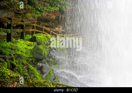 Auf der Suche nach Dry Falls im Hochland North Carolina Stockfoto