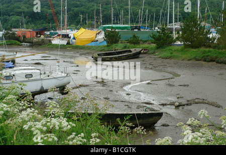 Gweek Cornwall England GB UK 2008 Stockfoto