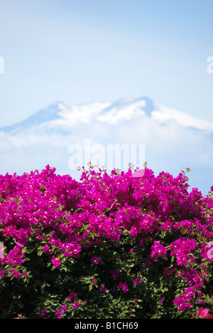 Blick auf den Ätna vom Teatro Greco Taormina, Provinz Messina, Sizilien, Italien Stockfoto