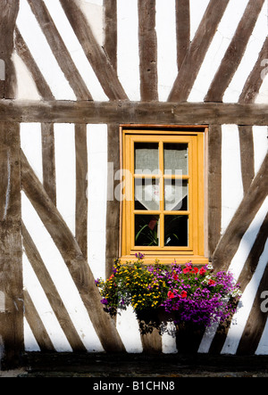 Halbe Fachwerkhaus Detail, Beuvron En Auge, Normandie, Frankreich Stockfoto