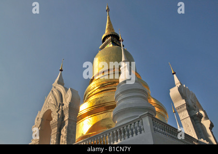 goldene Chedi des Wat Suan Dok Tempel, Thailand, Chiang Mai Chedi Stockfoto