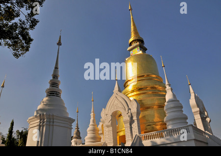 goldene Chedi des Wat Suan Dok Tempel, Thailand, Chiang Mai Chedi Stockfoto