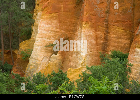 Ockerfarbene Klippen von Roussillon in den Luberon Gegend Frankreichs. Stockfoto