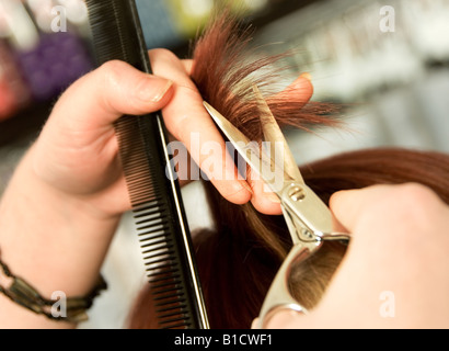 Haar-Stylist trimmen hautnah Stockfoto