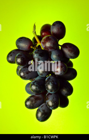 Lila Trauben auf eine Hintergrundbeleuchtung hellen grünen Hintergrund isoliert Stockfoto