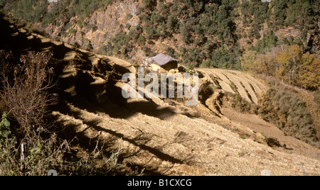 Bhutan Black Mountains Reihenhaus Ackerland in der Nähe von Lobding Stockfoto