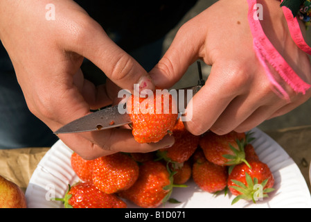 Junge Frau schneiden frische Erdbeeren in einem Farmers Market, Kensington, London, UK. Stockfoto