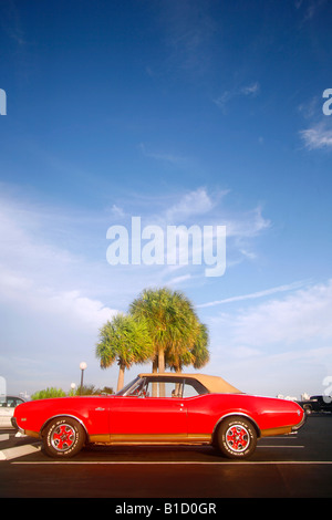 Klassische High Performance Oldsmobile Cutlass Cabrio unter grünen Palmen und blauen bewölkten Himmel in städtischen Florida, USA Stockfoto