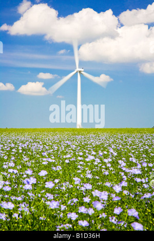Einzelne Windkraftanlage gegen einen Sommerhimmel mit vom Wind verwehten Bereich der blauen Flachs oder Leinsamen in den Vordergrund, Oxfordshire, England UK Stockfoto