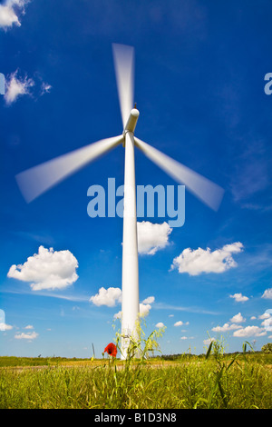 Einzelne Windturbine mit Schaufeln drehen gegen einen blauen Sommerhimmel und eine Mohnblume im Vordergrund, genommen in Oxfordshire, England Stockfoto