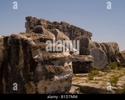 Gefallenen Spalte im Tempel des Apollo, Didim, Türkei Stockfoto