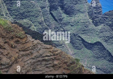 Ziegen auf den Klippen an der Na Pali Küste, Kauai, Hawaii Stockfoto